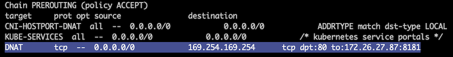 169.254.169.254로 향하는 요청을 가로채는 iptables 규칙