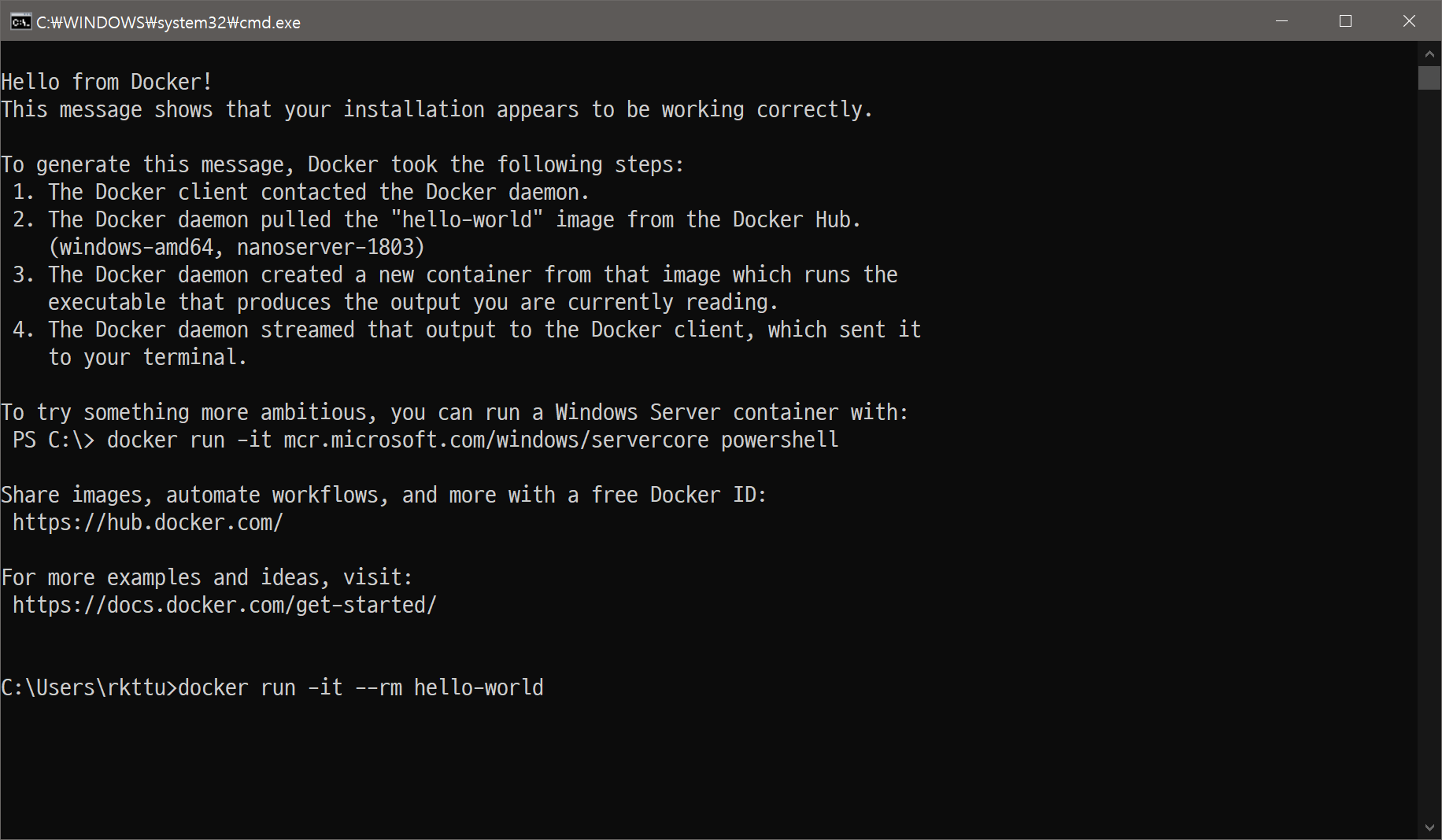 docker run it --rm hello-world 실행 결과